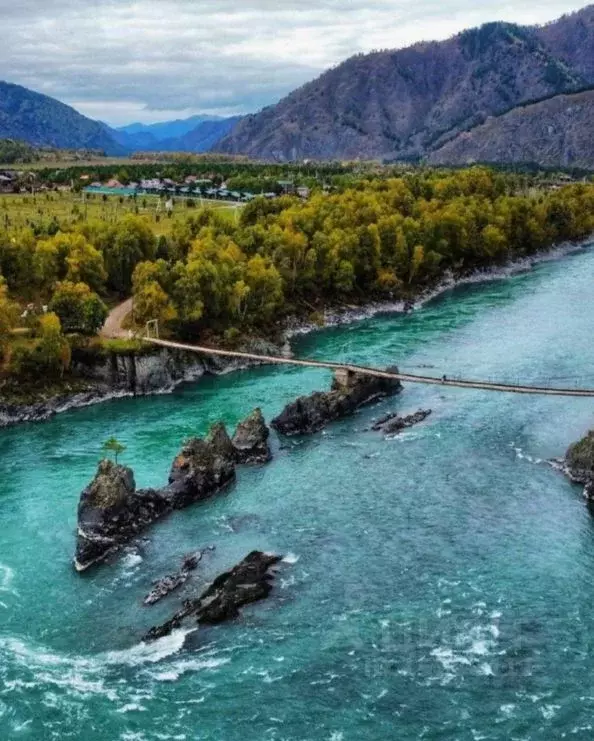 Участок в Алтай, Чемальский район, Элекмонарское с/пос, с. Элекмонар  ... - Фото 0