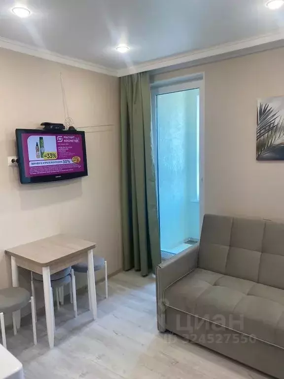 Студия Тюменская область, Тобольск Центральный мкр, 27 (23.0 м) - Фото 2