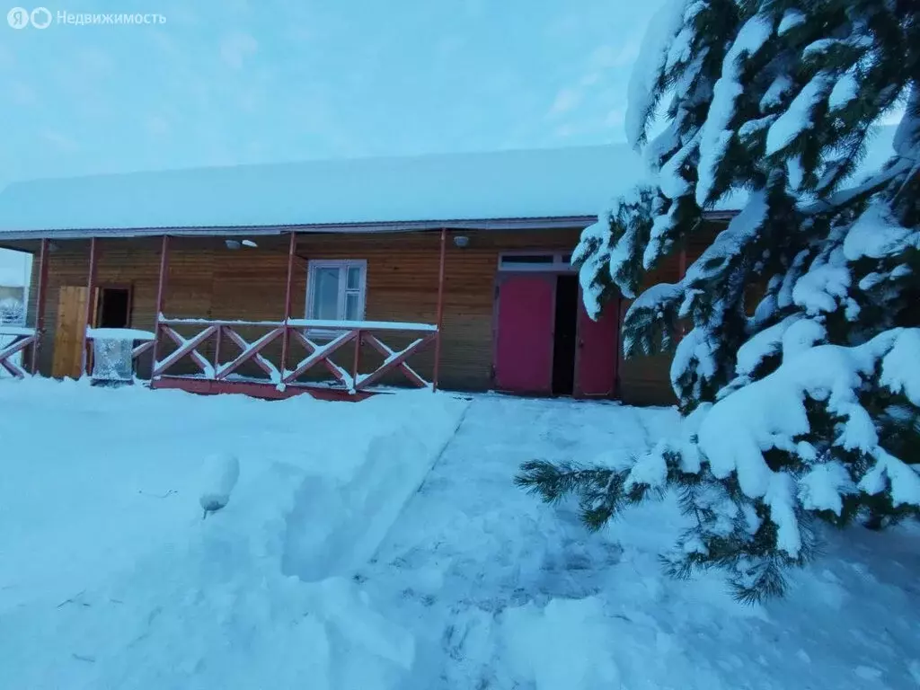 Участок в деревня Визябож, Центральная улица, 66 (20 м) - Фото 1