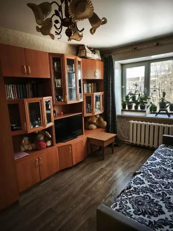 1-к кв. Московская область, Павловский Посад ул. Фрунзе, 10 (30.0 м) - Фото 2