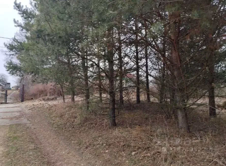 Участок в Московская область, Чехов муниципальный округ, д. Лешино  ... - Фото 0