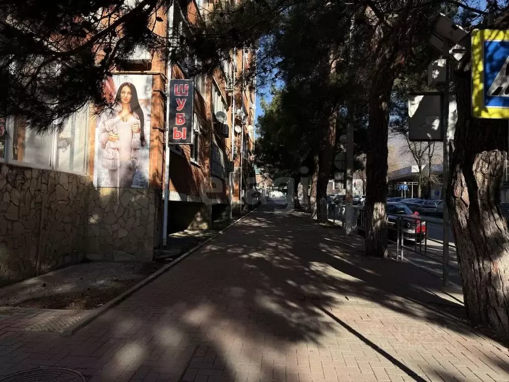 Помещение свободного назначения в Краснодарский край, Геленджик ул. ... - Фото 1