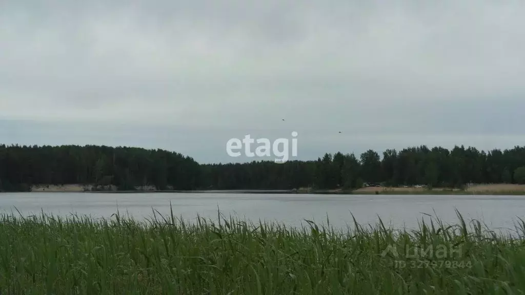Участок в Ленинградская область, Приозерский район, Ромашкинское ... - Фото 1