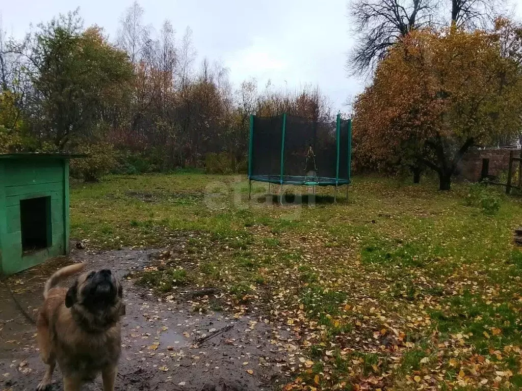 Дом в Владимирская область, Муром с. Климово, ул. Зеленая, 23 (47 м) - Фото 1