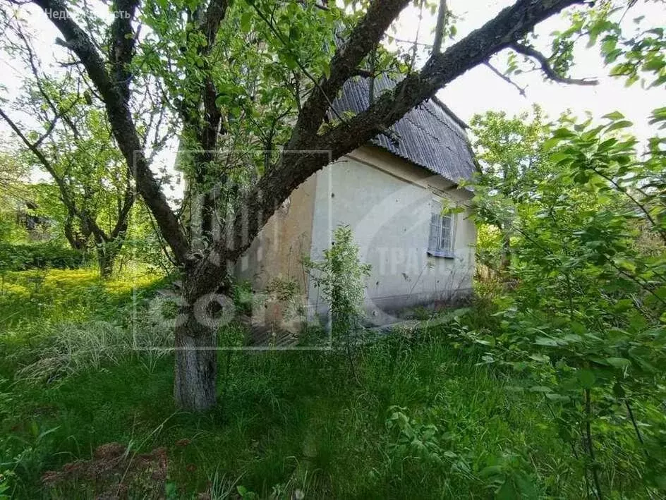 Дом в Воронеж, СНТ Ягодка (42.9 м) - Фото 1