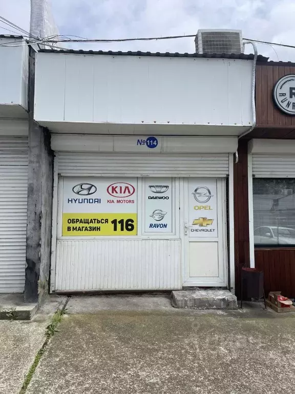 Помещение свободного назначения в Краснодарский край, Сочи ул. ... - Фото 1
