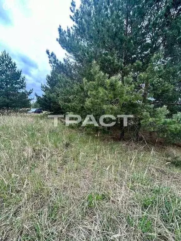 Участок в Рамонский район, Новоживотинновское сельское поселение, НСТ ... - Фото 0