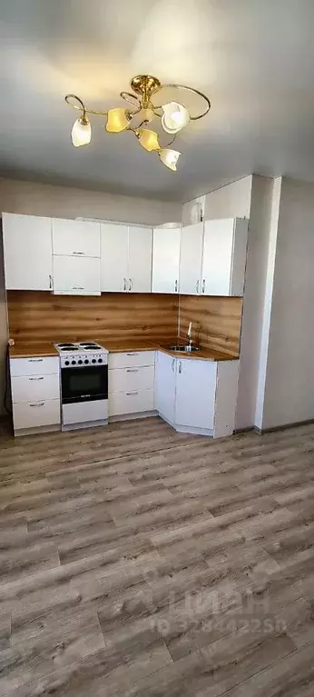 Студия Челябинская область, Челябинск ул. 2-я Эльтонская, 61Б (24.3 м) - Фото 2