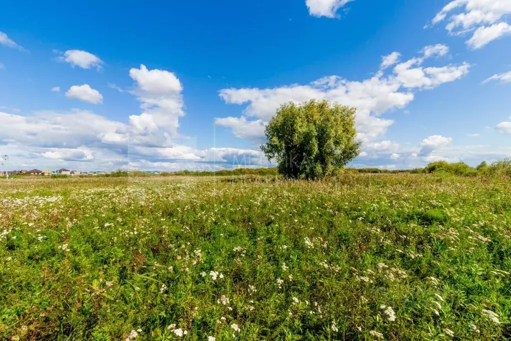 Участок в Тюменская область, Тюменский район, д. Есаулова, Усадьба ... - Фото 1