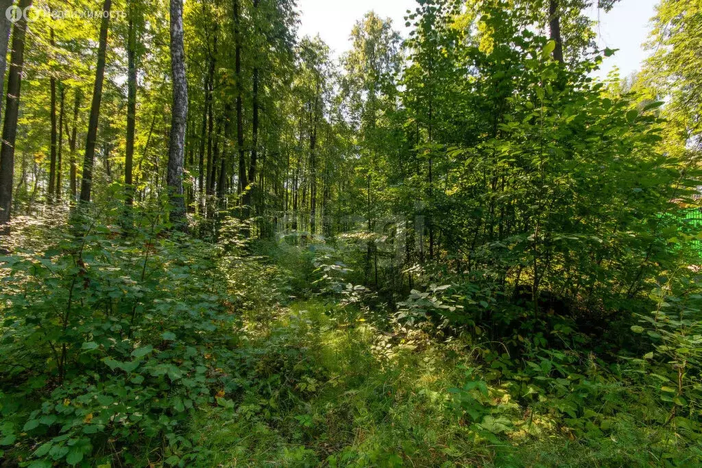 Участок в Нижнетавдинский район, деревня Аракчина (6.32 м) - Фото 1
