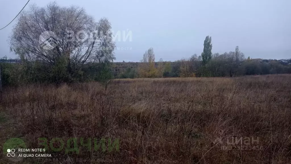 Участок в Чувашия, Чебоксарский муниципальный округ, д. Митрофанкасы  ... - Фото 1