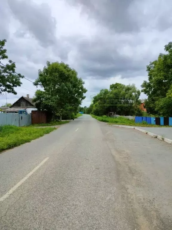 Участок в Приморский край, Артемовский городской округ, с. Ясное ул. ... - Фото 0