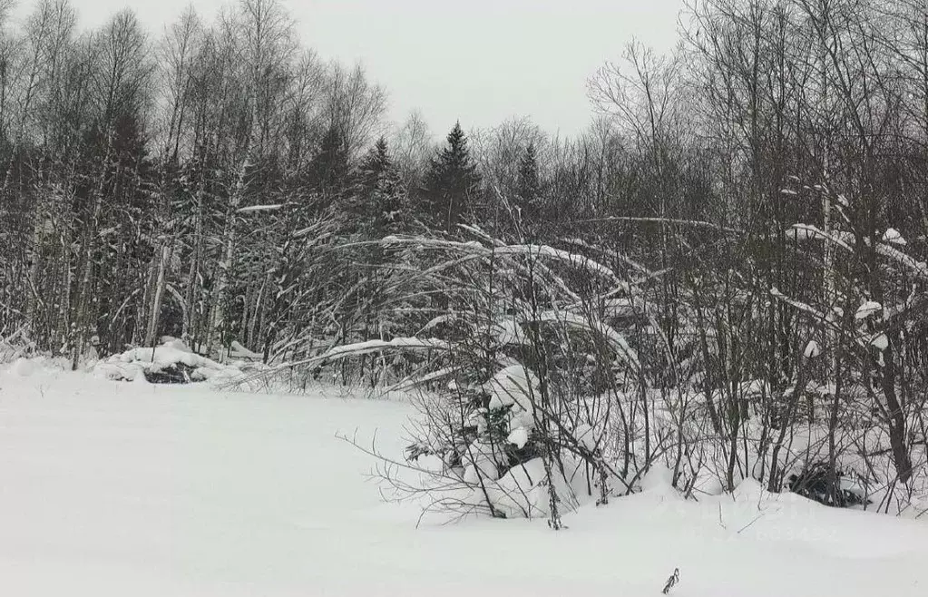 Участок в Московская область, Дмитровский муниципальный округ, д. ... - Фото 1