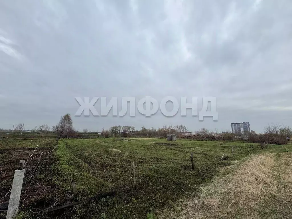 Участок в Новосибирская область, Новосибирский район, с. Криводановка ... - Фото 1