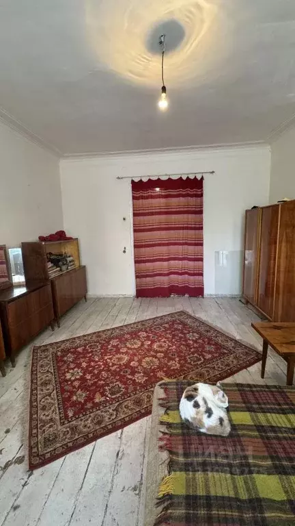 3-к кв. Оренбургская область, Оренбург Пролетарская ул., 55 (82.0 м) - Фото 1