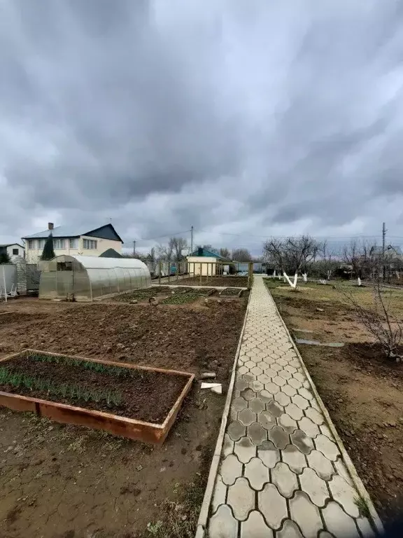 Участок в Волгоградская область, Городищенский район, Царицынское ... - Фото 1