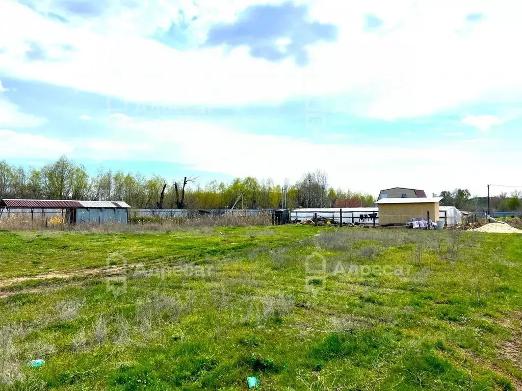 Участок в Волгоградская область, Среднеахтубинский район, Фрунзенское ... - Фото 1