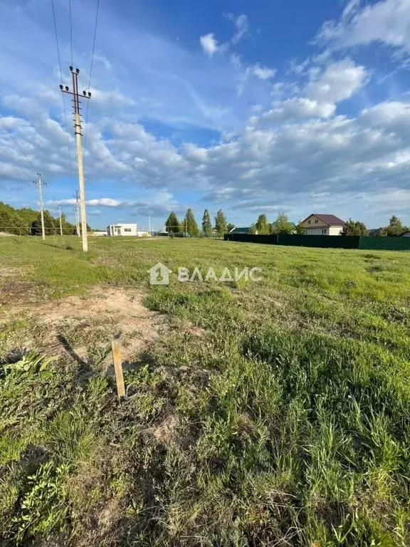 Участок в Пензенская область, Бессоновский район, Сосновский ... - Фото 2