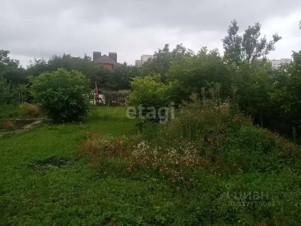 Участок в Белгородская область, Белгородский район, Ериковское с/пос, ... - Фото 1