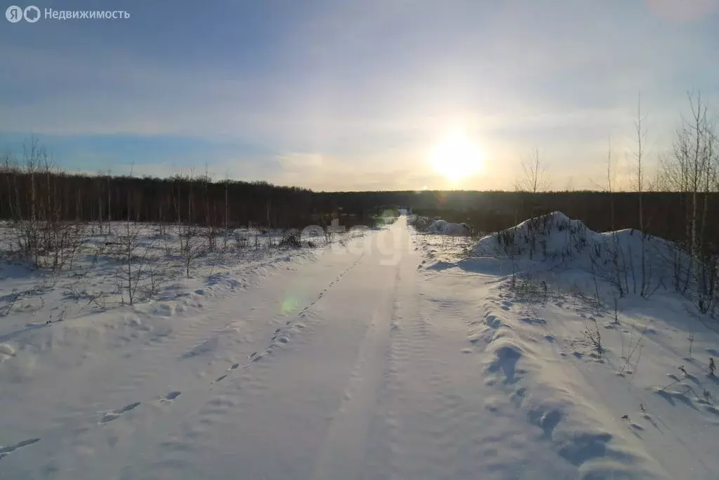 Участок в Кременкульское сельское поселение, коттеджный посёлок ... - Фото 1