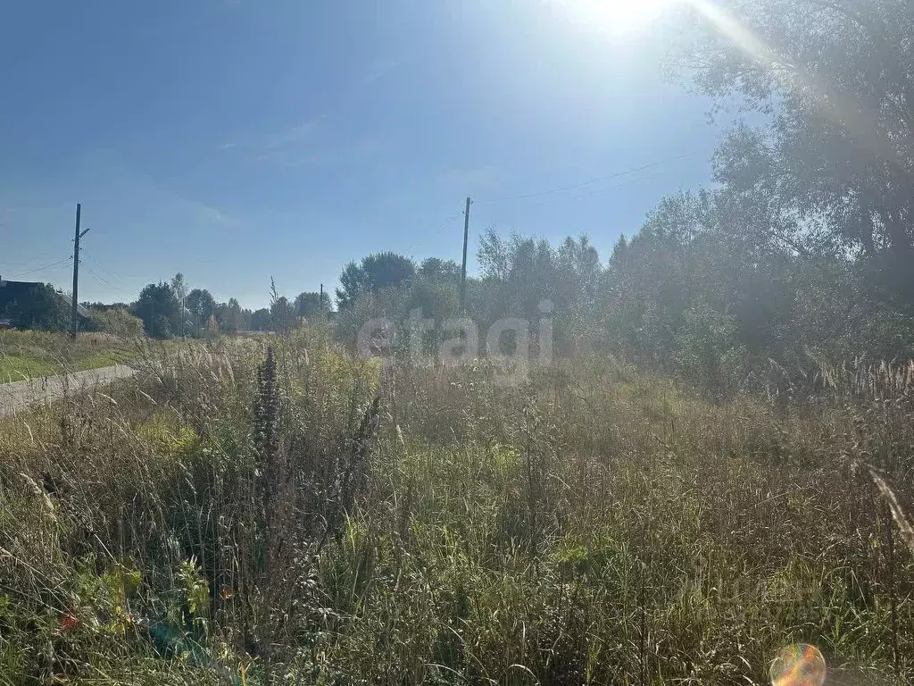 Участок в Нижегородская область, Навашинский муниципальный округ, д. ... - Фото 2
