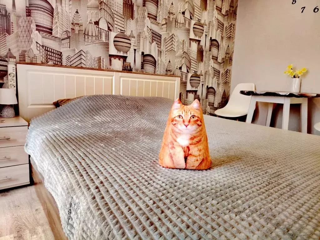 1-к кв. Ленинградская область, Выборг ул. Сторожевой Башни, 9 (23.0 м) - Фото 2