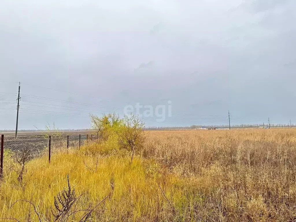 Участок в Воронежская область, с. Новая Усмань ул. Крымская (10.0 ... - Фото 0