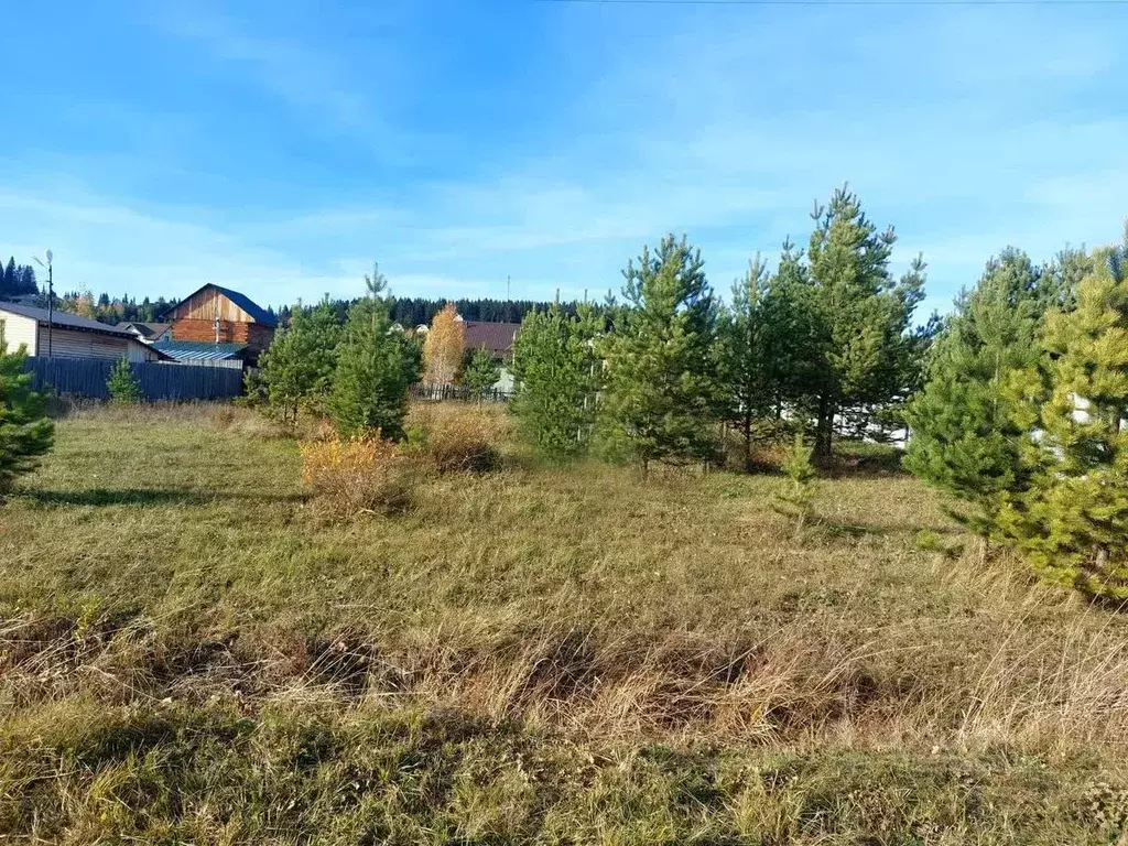 Участок в Московская область, Истра муниципальный округ, д. Ремянники  ... - Фото 1