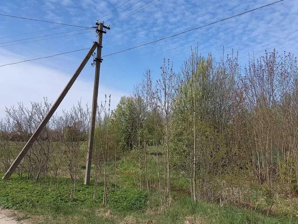 Участок в Псковская область, Гдов городское поселение, д. Полично  ... - Фото 1