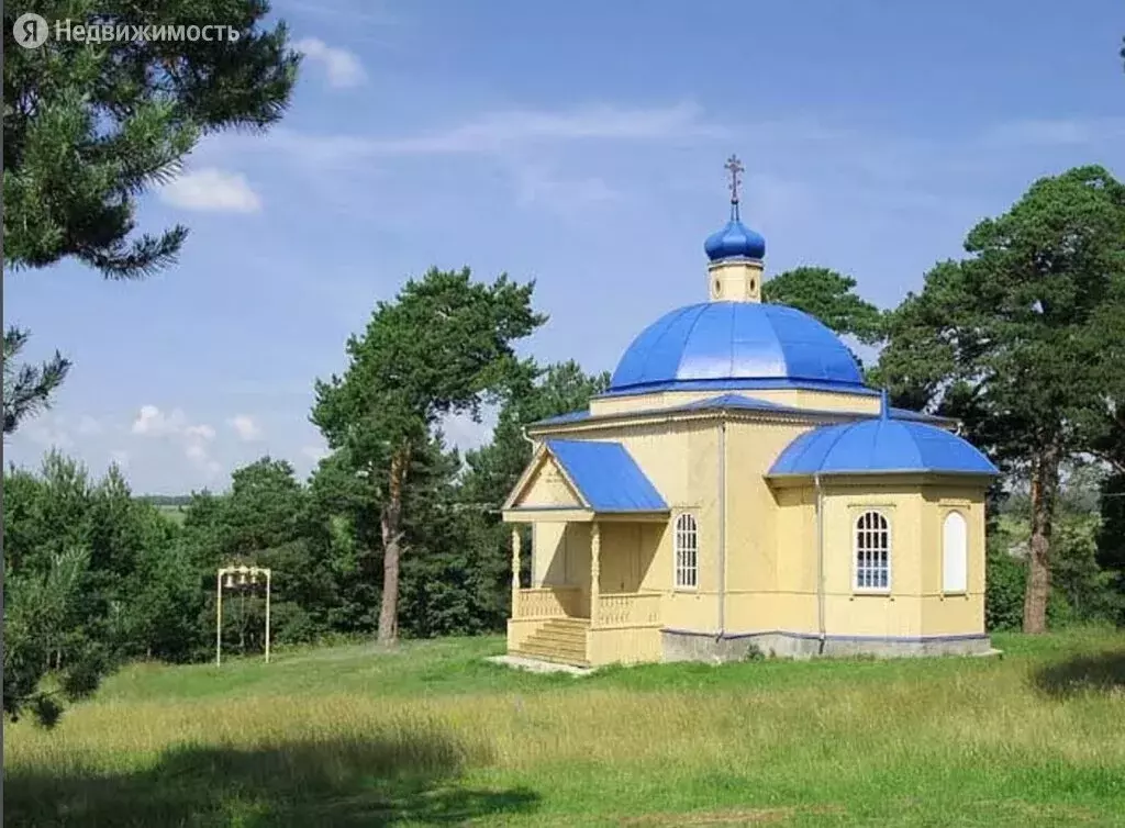 Село сосновка. Сосновка Кузнецкий район Церковь. Сосновка Пензенская область храм. Сосновка Пензенская область Кузнецкий район. Сосновка Пензенская область храм Казанской.