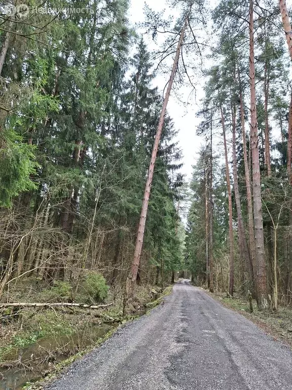Дом в Московская область, Дмитровский муниципальный округ, садовое ... - Фото 1