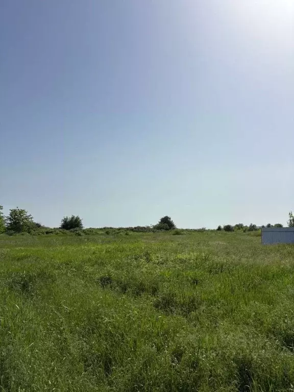 Участок в Краснодарский край, Краснодар ул. Имени И.И. Романенко ... - Фото 2