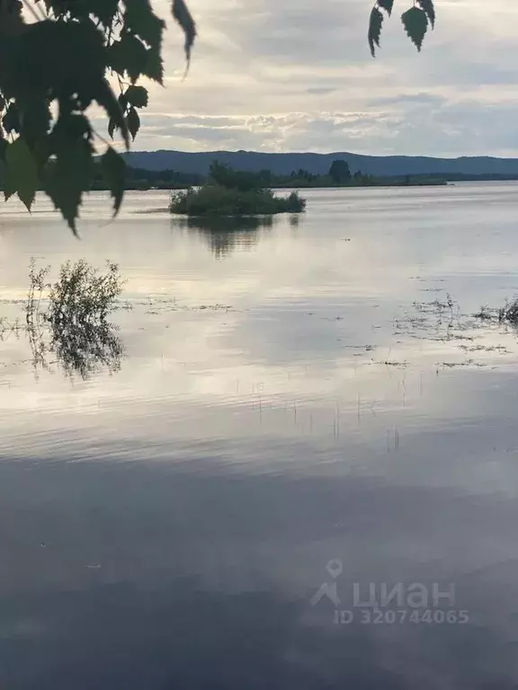 Участок в Челябинская область, Аргаяшский муниципальный округ, ... - Фото 1