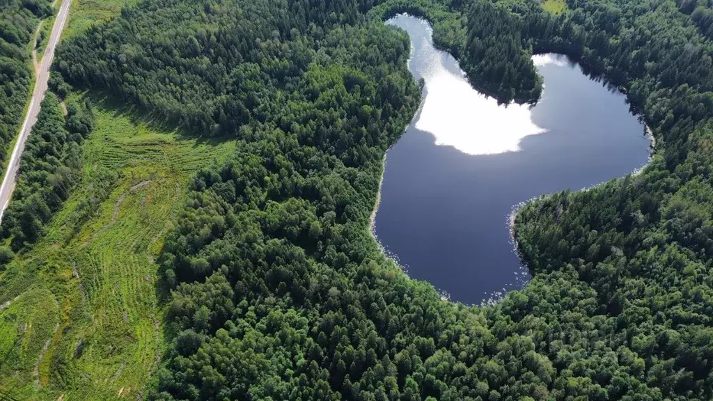 Участок в Тверская область, Торопецкий муниципальный округ, д. Цветки  ... - Фото 1