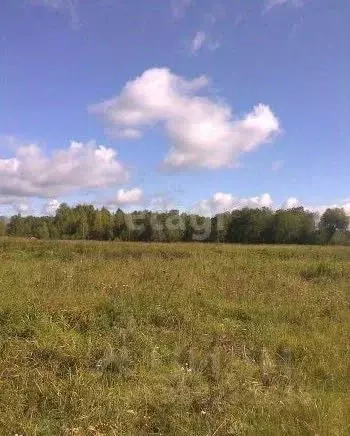 Участок в Пермский край, Пермский муниципальный округ, д. Канабеково  ... - Фото 1