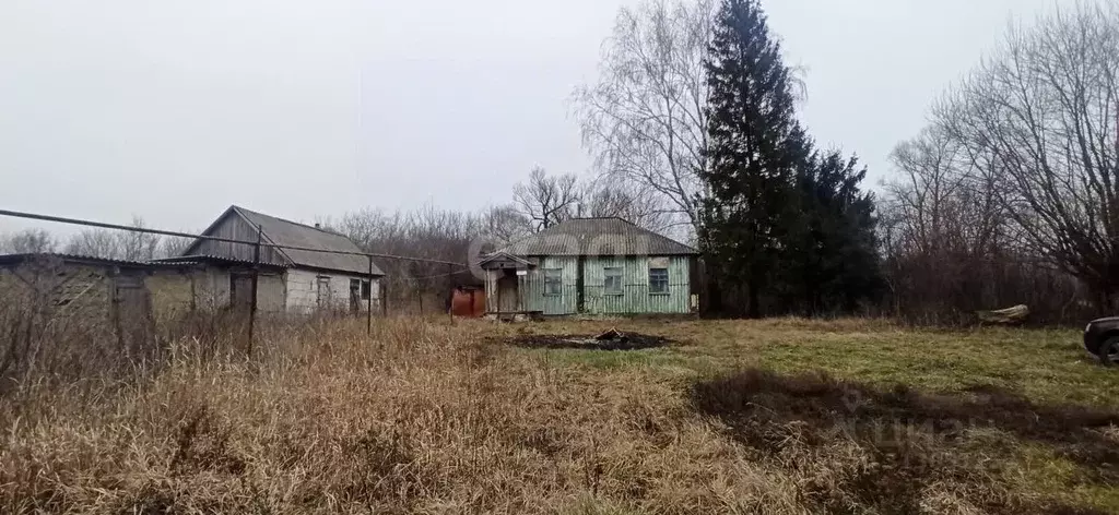 Дом в Белгородская область, Губкинский городской округ, с. Вислая ... - Фото 1