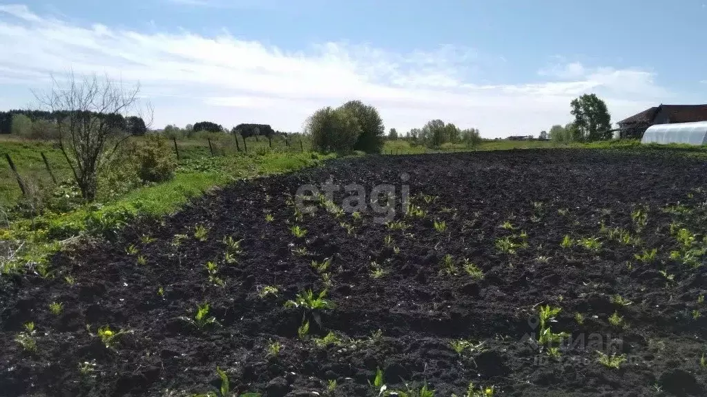 Участок в Башкортостан, Бирский район, Бурновский сельсовет, с. ... - Фото 1
