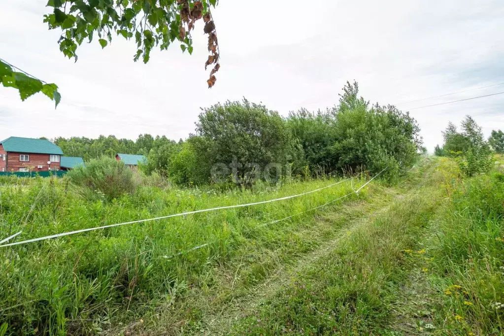 Участок в Новосибирская область, Новосибирский район, Барышевский ... - Фото 0