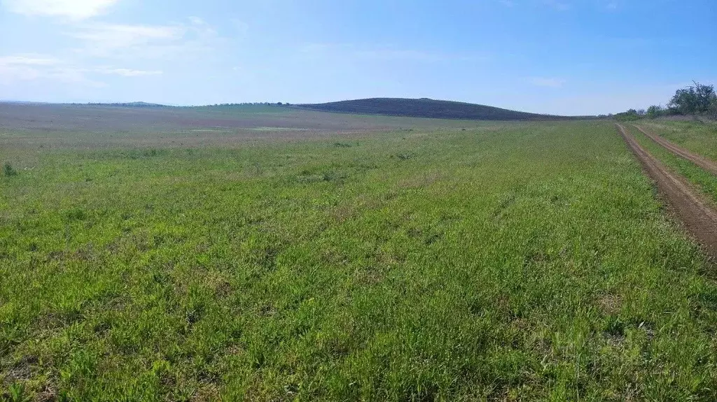 Участок в Крым, Бахчисарайский район, с. Вилино  (433.0 сот.) - Фото 0