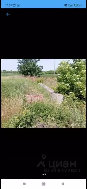 Участок в Белгородская область, Белгородский район, Бессоновское ... - Фото 1