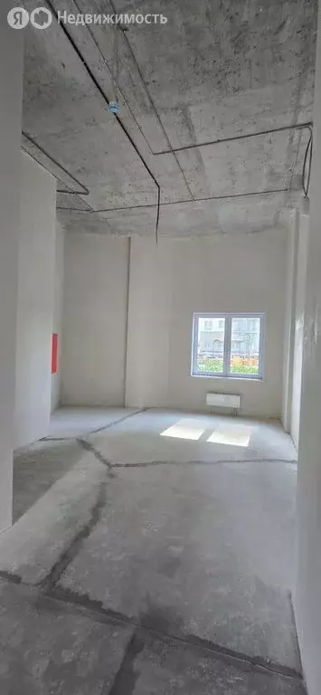 Торговая площадь (73.5 м) - Фото 2