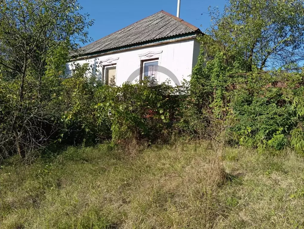 Дом в Краснодарский край, Апшеронский район, Кабардинское с/пос, ... - Фото 2