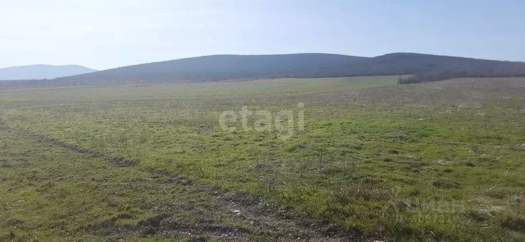 Участок в Крым, Белогорский район, с. Курское ул. Советская, 1 (740.0 ... - Фото 0