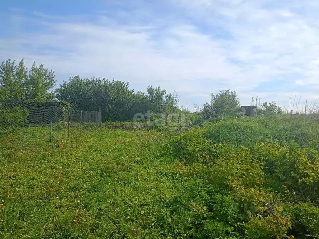 Участок в Воронежская область, Новоусманский район, ... - Фото 0