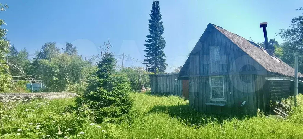 Участок 23 сот. (ИЖС) - Фото 1