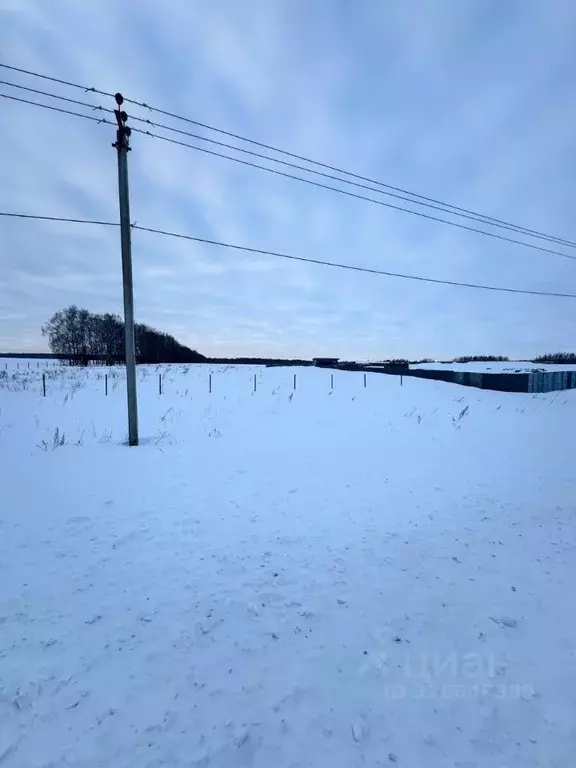 Участок в Татарстан, Арский район, Янга-Салское с/пос, д. Каенсар  ... - Фото 1