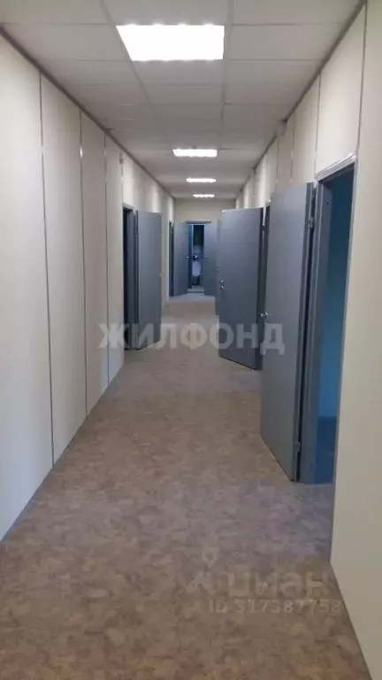 Офис в Новосибирская область, Новосибирск ул. Фрунзе, 5/2 (23 м) - Фото 1