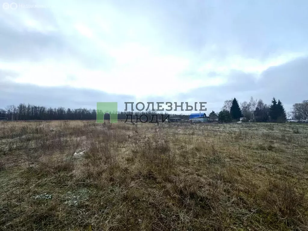 Участок в Орловский муниципальный округ, деревня Новая Слободка, 1Б ... - Фото 2