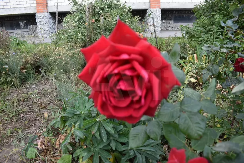 2-к. квартира, 50 м, 3/3 эт. - Фото 0