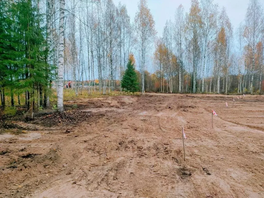 Участок в Ленинградская область, Лодейнопольский район, Янегское ... - Фото 1